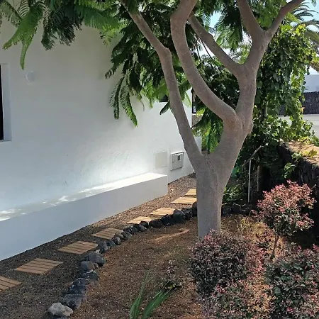 Διαμέρισμα Falcon